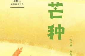 芒種：麥黃梅熟 有收有種丨跟著二十四節氣游四川